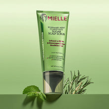 Load image into Gallery viewer, Mielle Rosemary Mint Clarifying Sugar Scalp Scrub (170g) سنفرة الروزماري لفروة الرأس