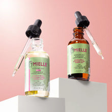 Load image into Gallery viewer, Mielle Rosemary Mint Light Scalp &amp; Hair Strengthening Oil (59ml)
